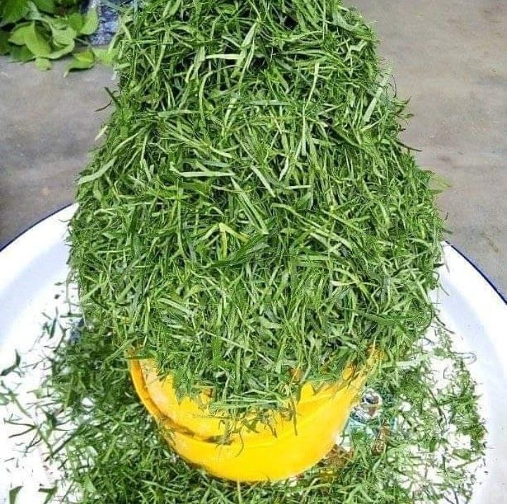 ukasi leaf